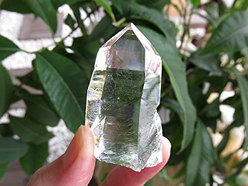 Amazon.co.jp: コロンビア産 レムリアンシードクリスタル 水晶 原石